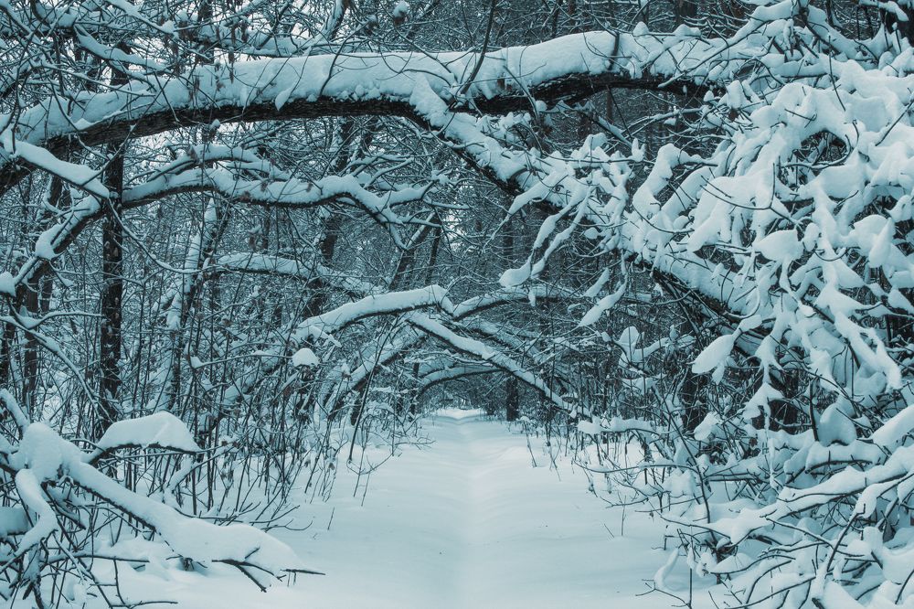 Photograph by Konstantin Zhuykov