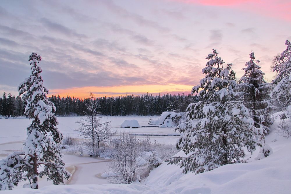 Photograph by Александр Алабушев