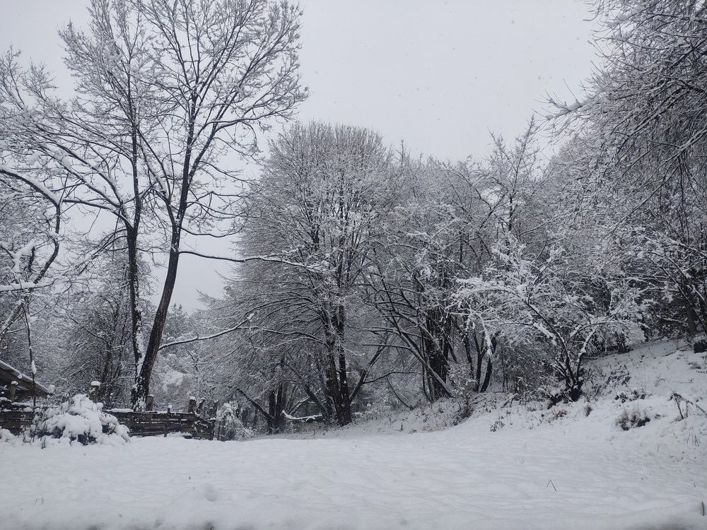 Photo #7005622