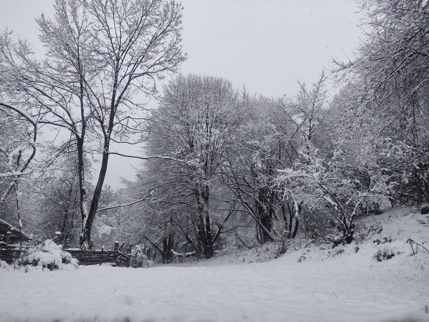 Photo #7005622