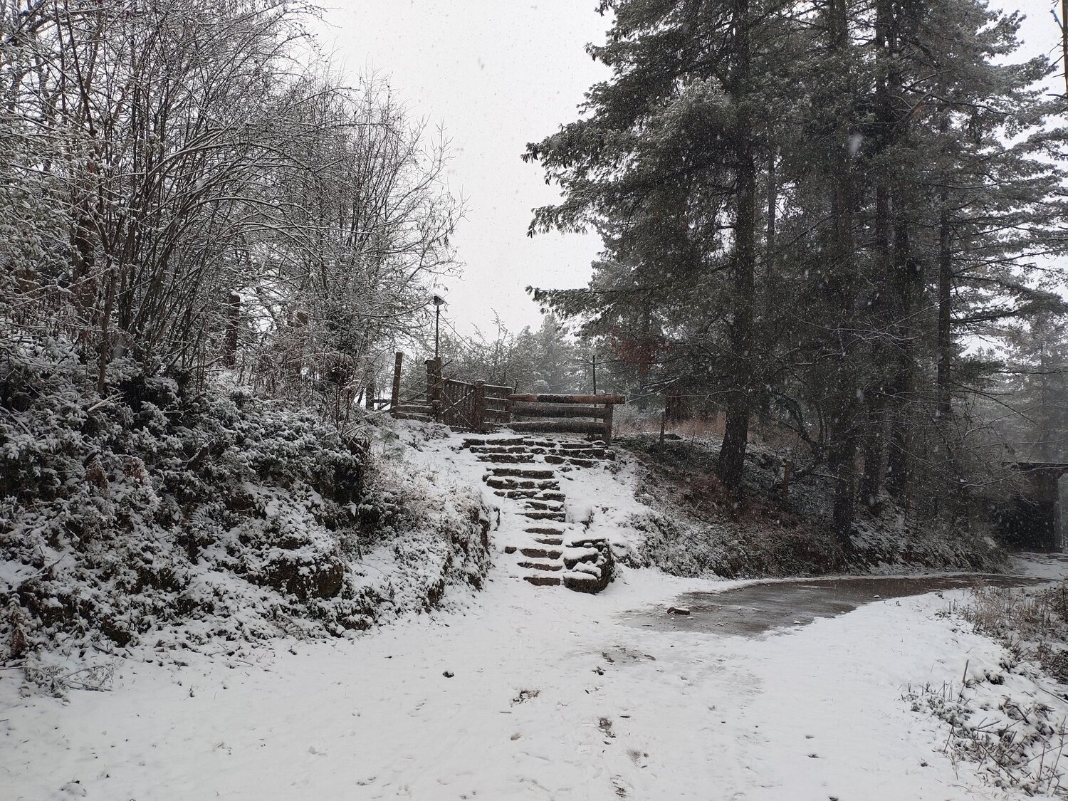Photo #7005649