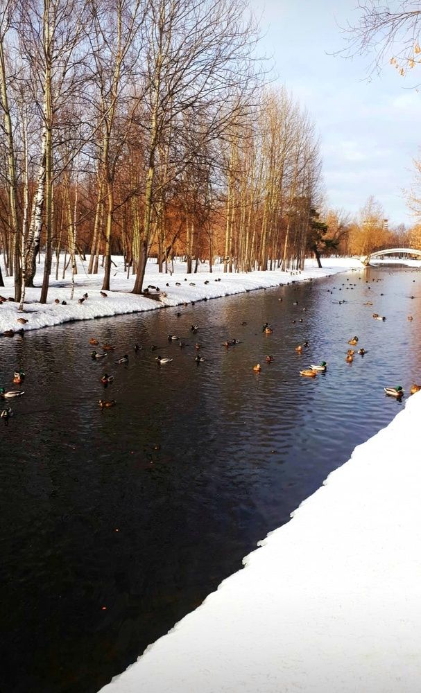 Photograph by Зоя