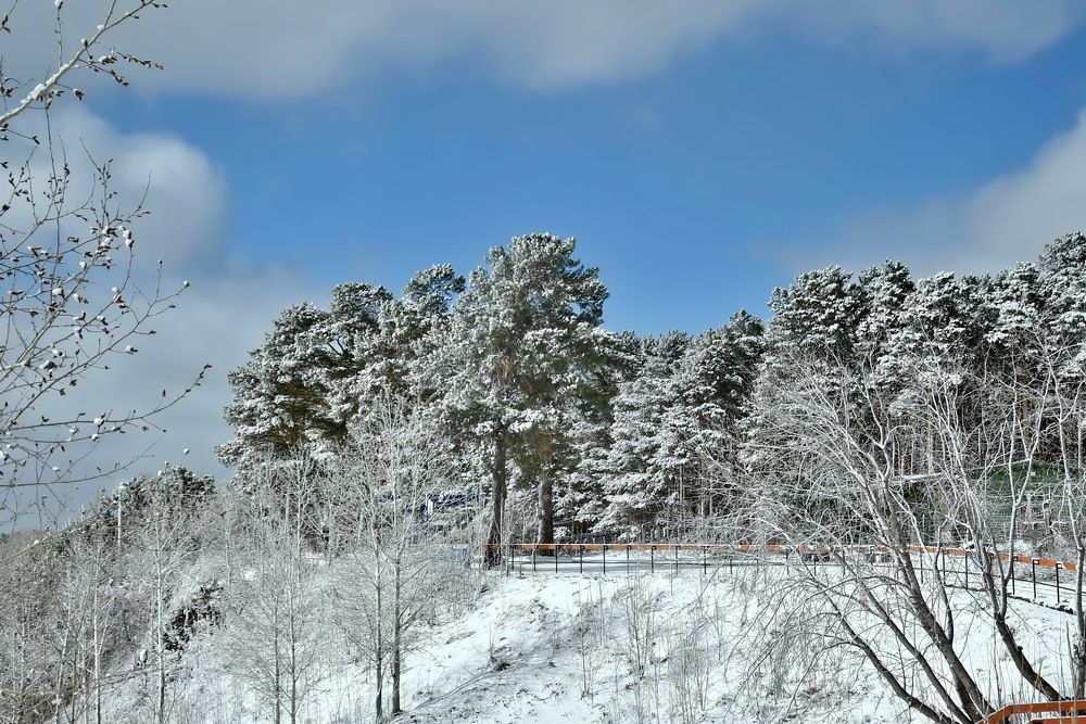 Photograph by НИНА АВЕРЬЯНОВА