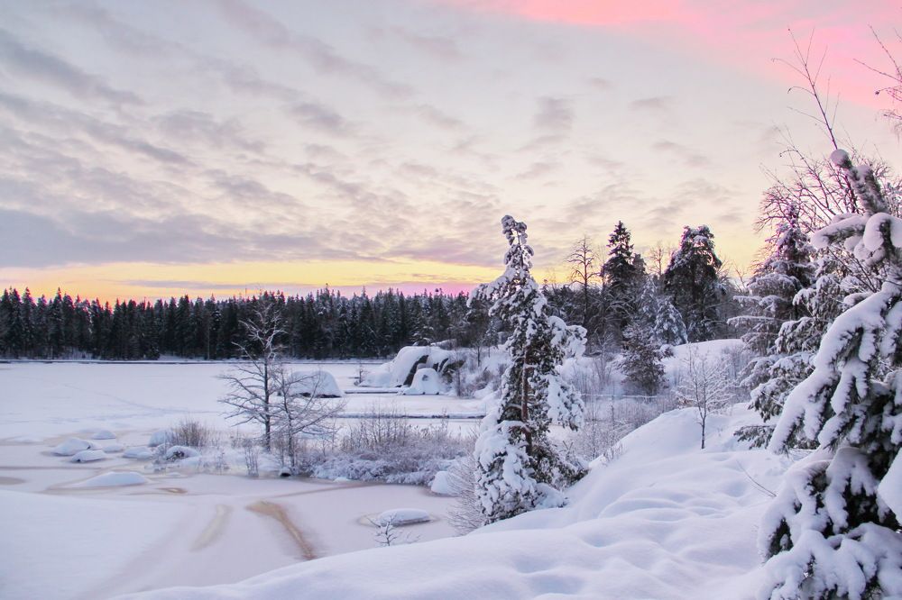 Photograph by Александр Алабушев