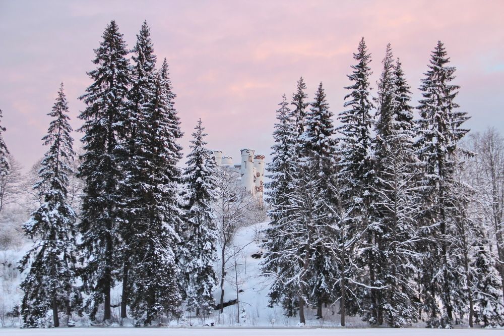 Photograph by Александр Алабушев