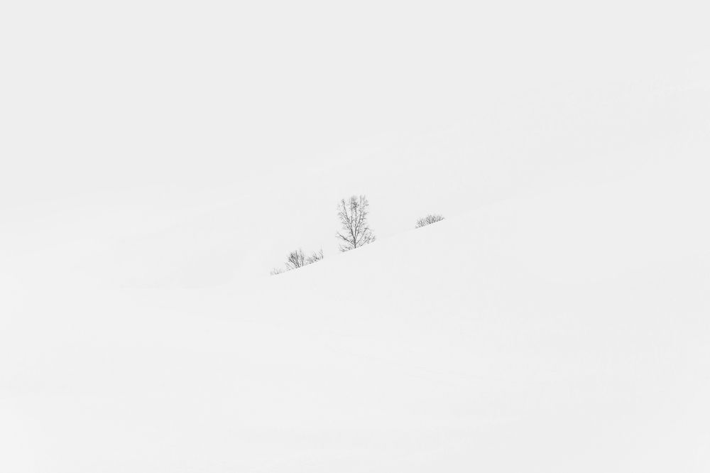 Photograph by Lorenzo Linthout