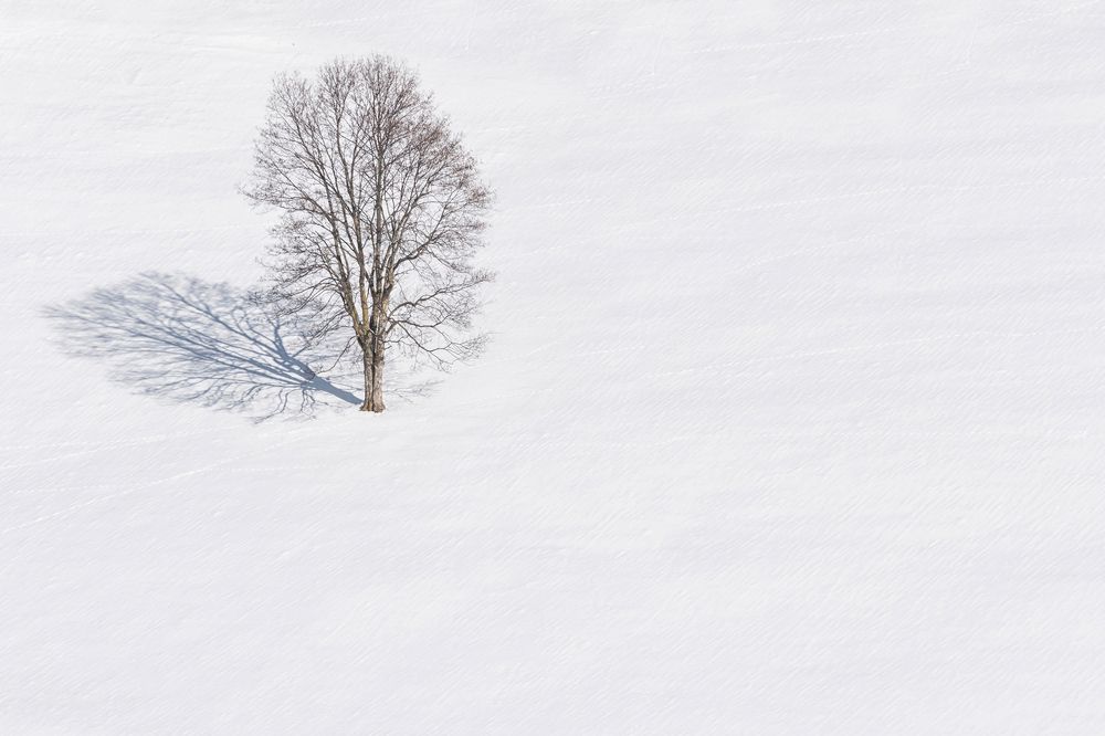 Photograph by Lorenzo Linthout