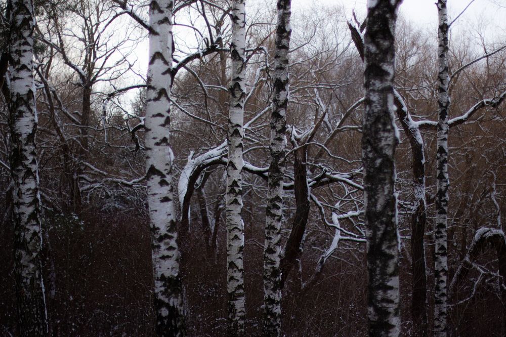 Photograph by Полина Килат