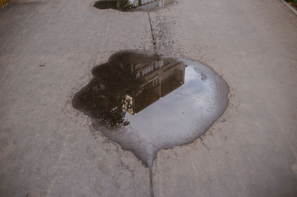 Photograph by Мария Сычёва