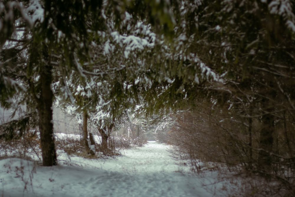 Photograph by Полина Килат