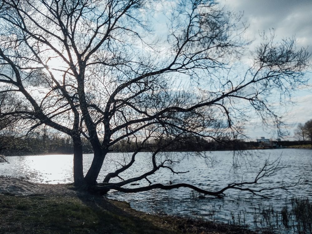Photograph by Юлия Лебедева