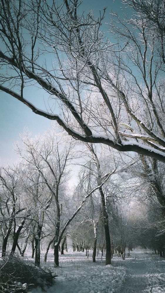 Photograph by Евгений Поляков