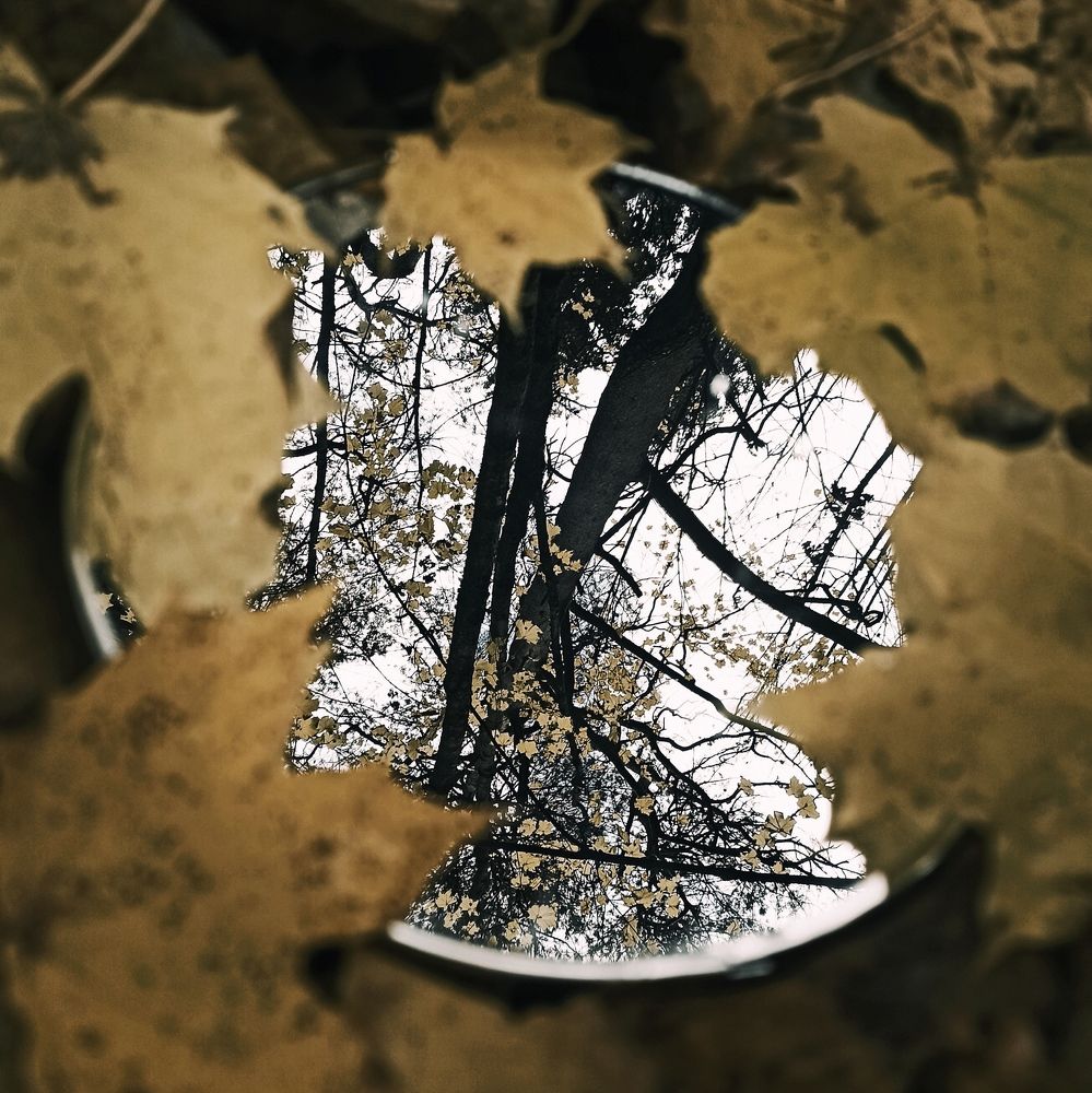 Photograph by Галина Мицевич