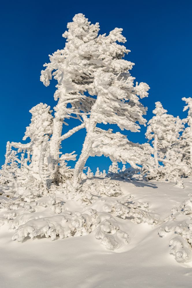 В снежном плену