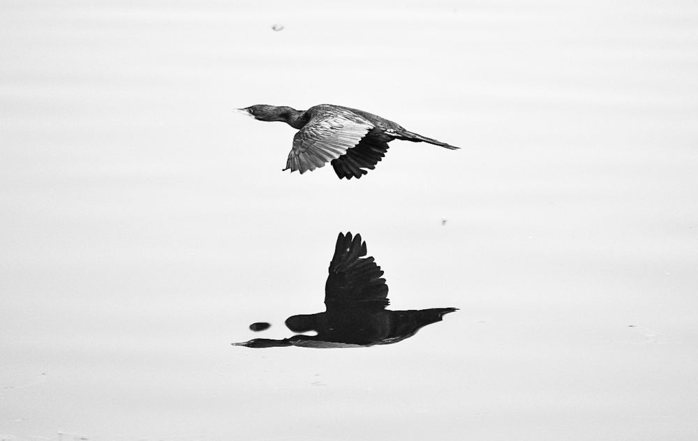 Photograph by hardik kansara