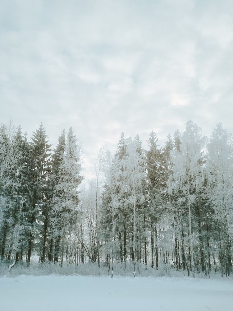 Photograph by Ольга Яценко