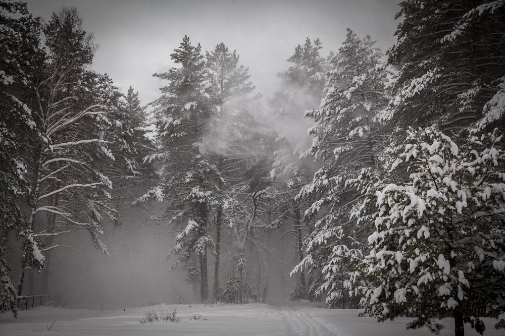 Photograph by Дмитрий Черепков