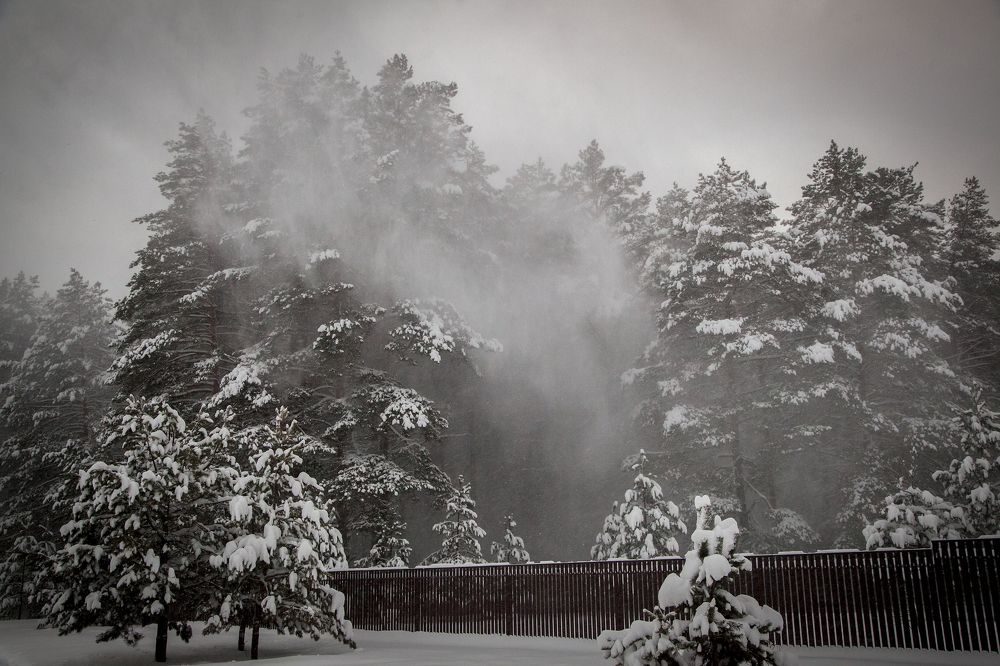 Photograph by Дмитрий Черепков