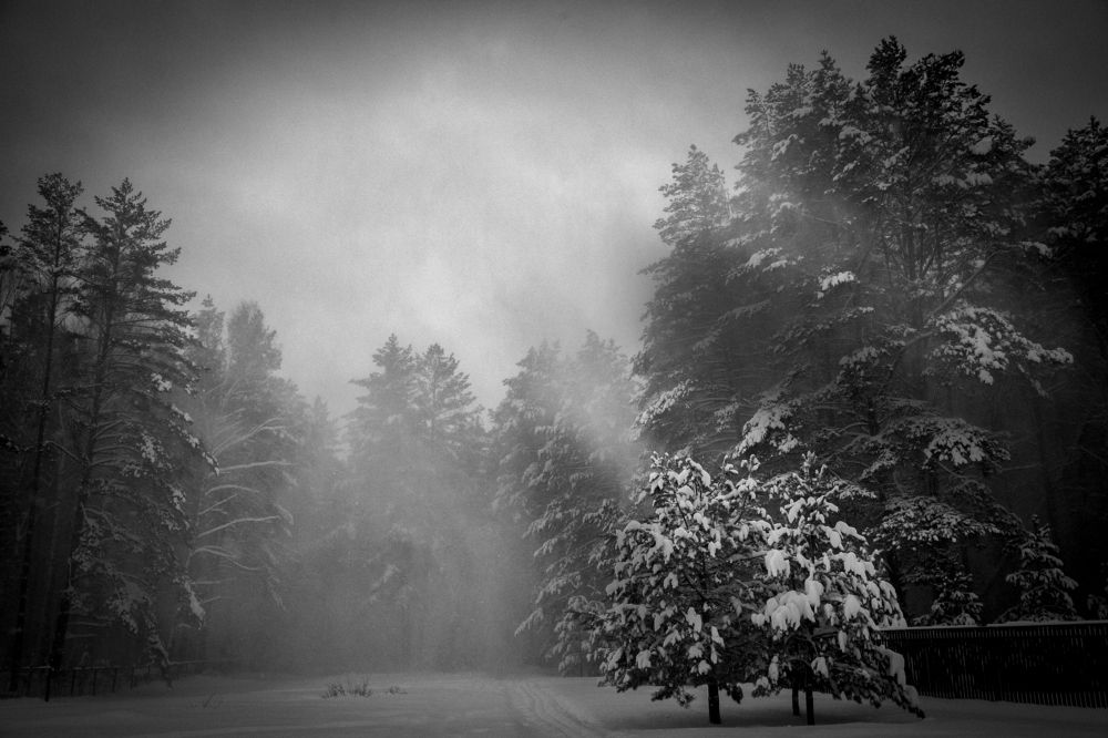 Photograph by Дмитрий Черепков