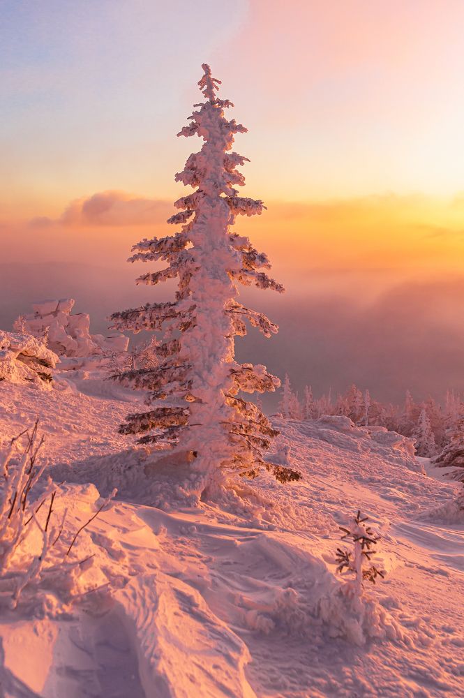 Краски солнца