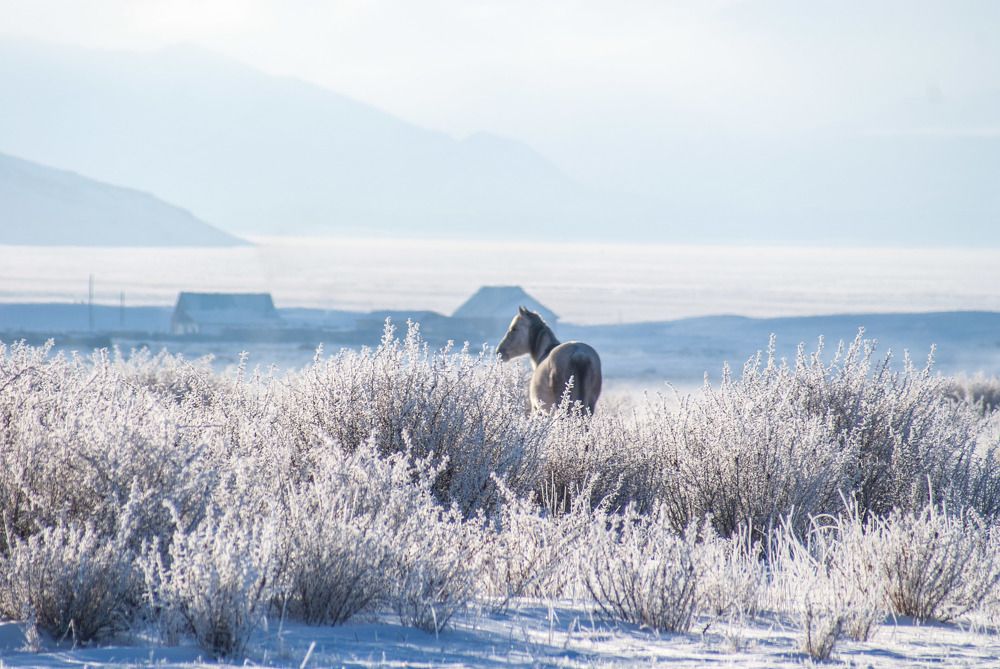 Photo #7005942