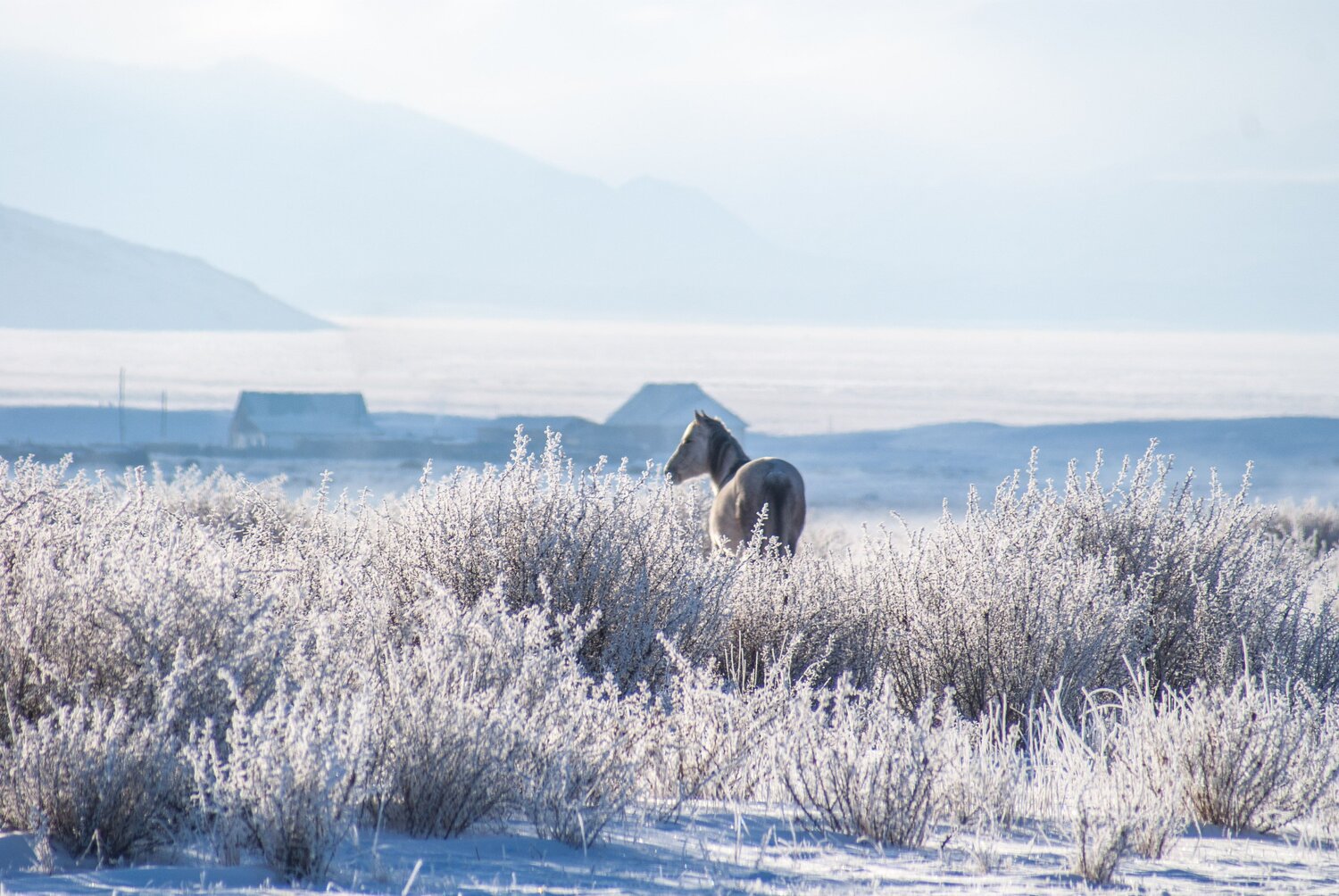 Photo #7005942