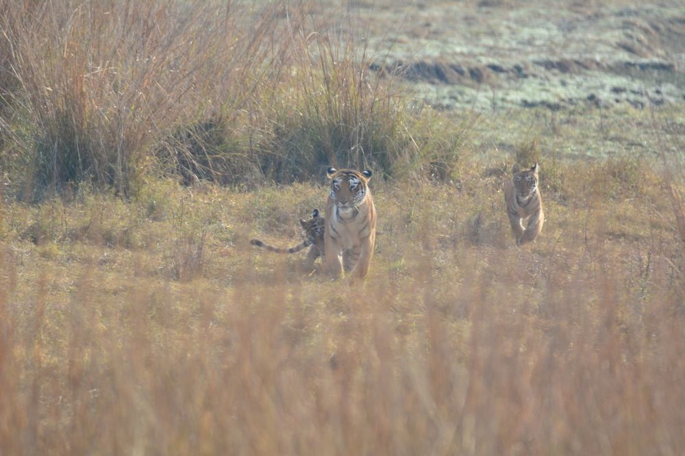 Photograph by SUBHRADEEP JASHU