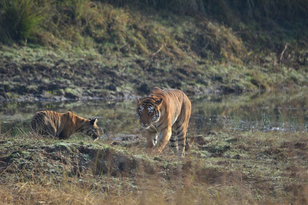 Photograph by SUBHRADEEP JASHU