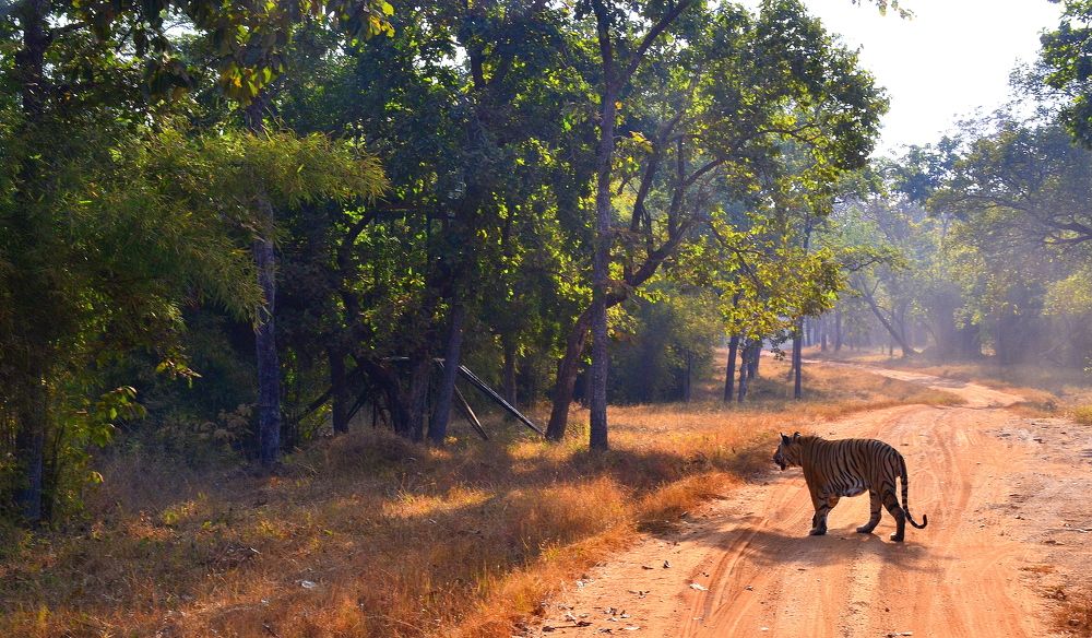 Photograph by SUBHRADEEP JASHU