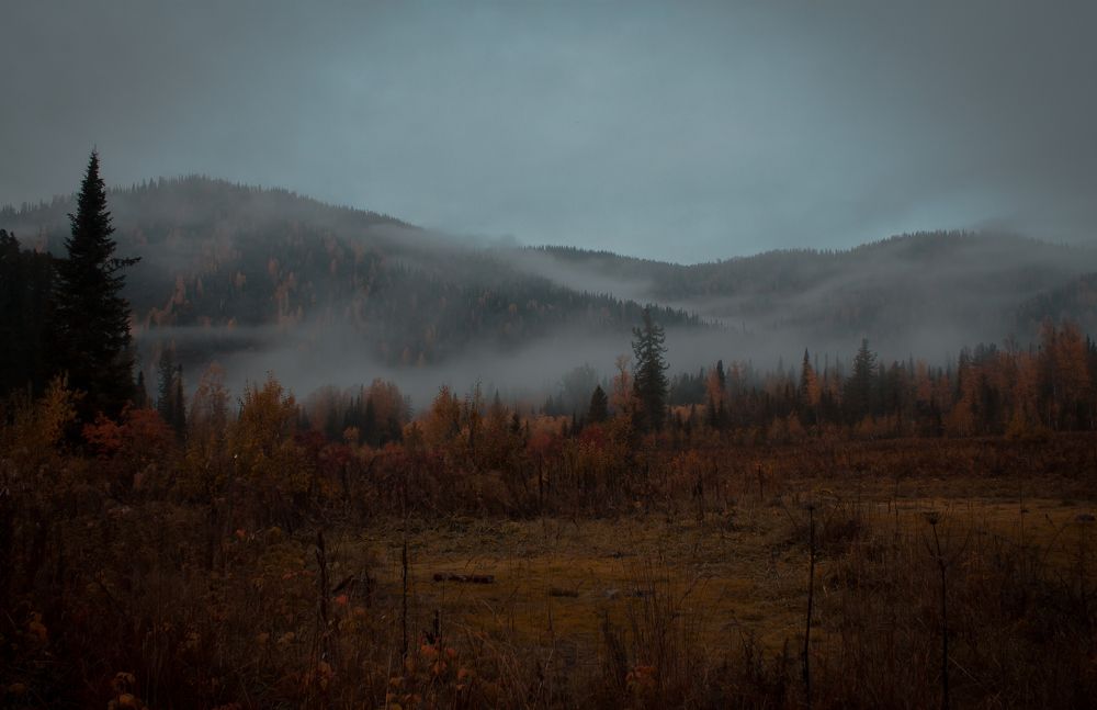 Photograph by Александр Жариков