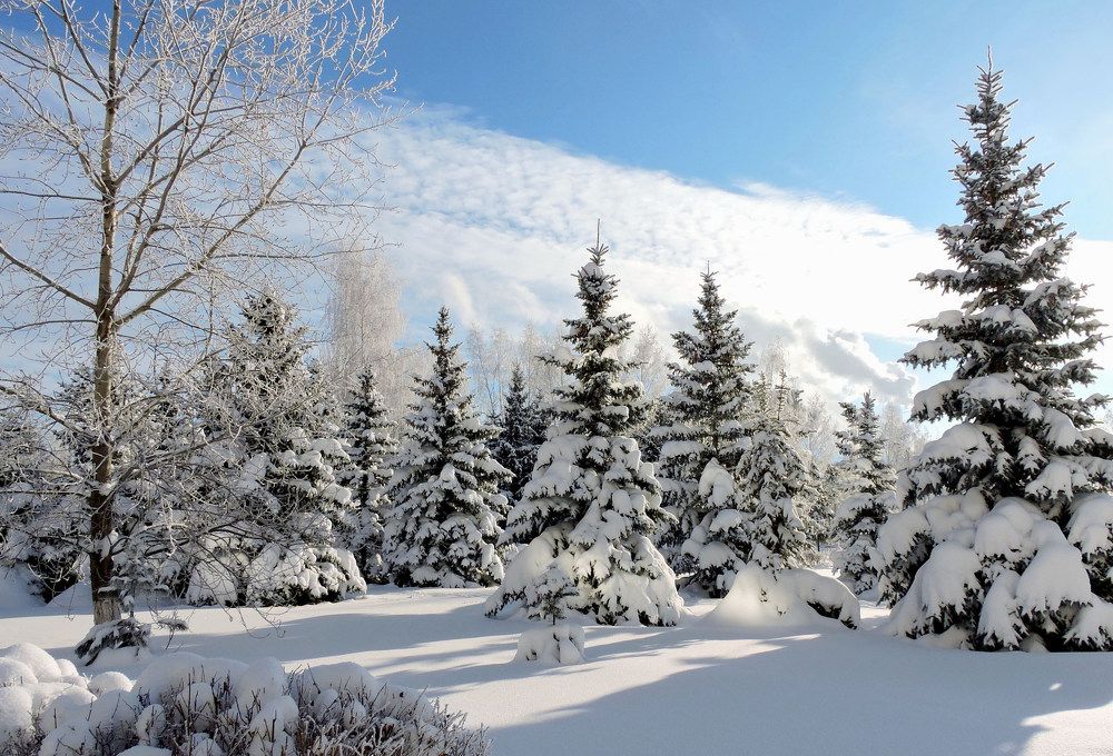 Зима чародейка!