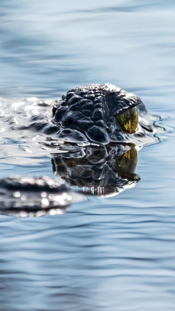 Photograph by Miguel Diaz