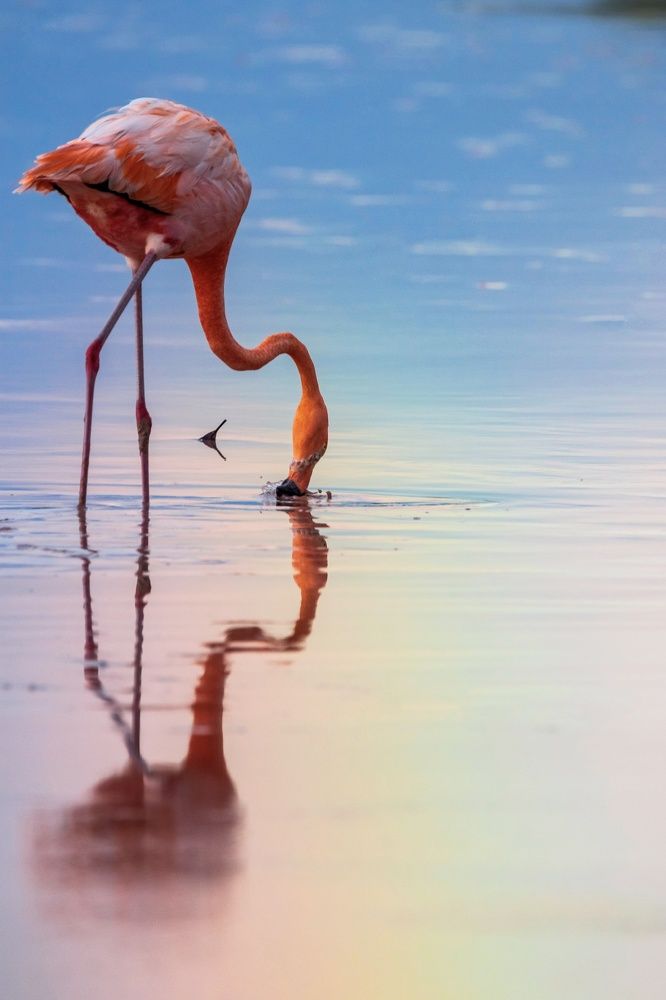 Photograph by Miguel Diaz