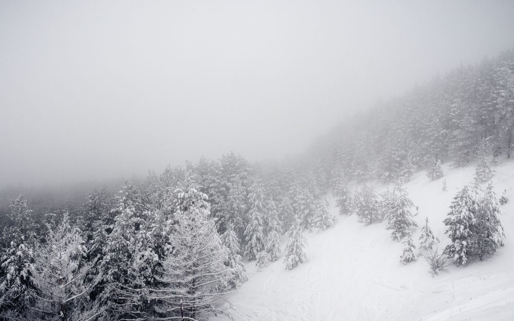 Photograph by Герман Матвеев