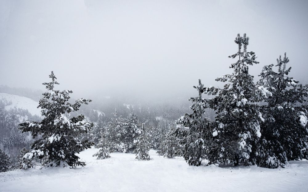 Photograph by Герман Матвеев