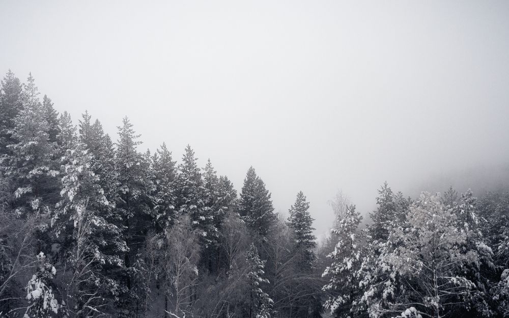 Photograph by Герман Матвеев