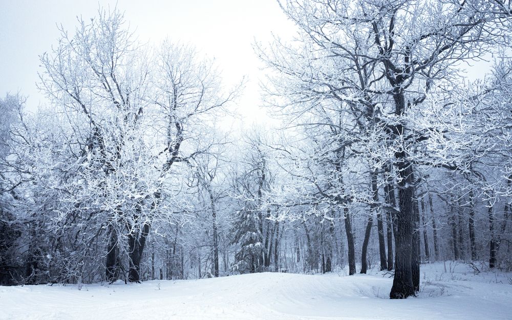 Photograph by Герман Матвеев