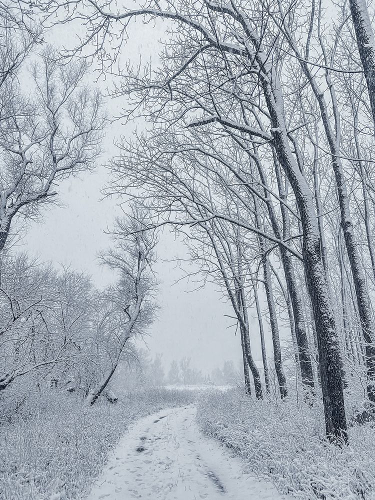 Photograph by Анастасия Денисенко