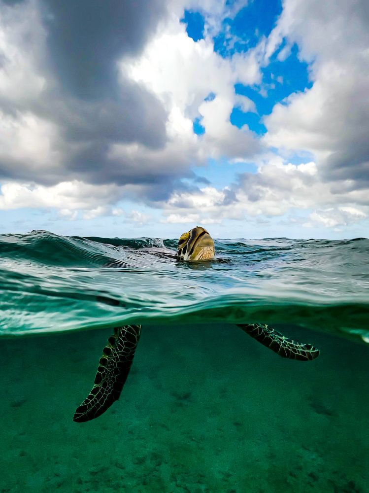 Photograph by Serge Melesan