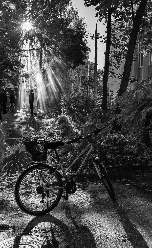 Photograph by Александрова Ольга