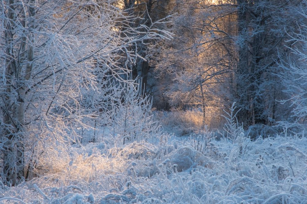 Photograph by Александрова Ольга