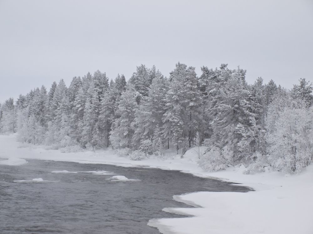 Photograph by Илюшечкина Екатерина