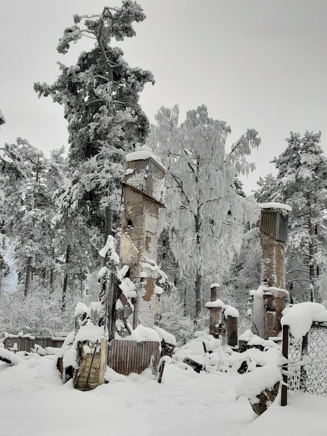 Photo #7006450