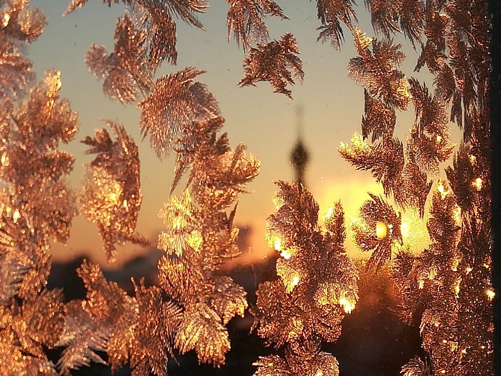 Photograph by Александрова Ольга