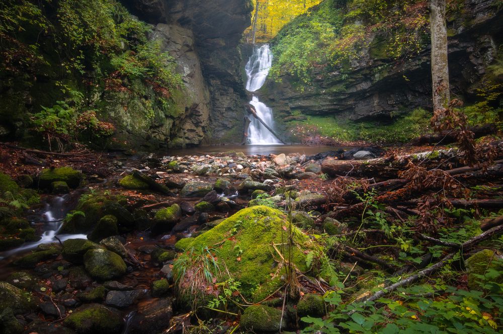 Photograph by Ivo Gerasimov