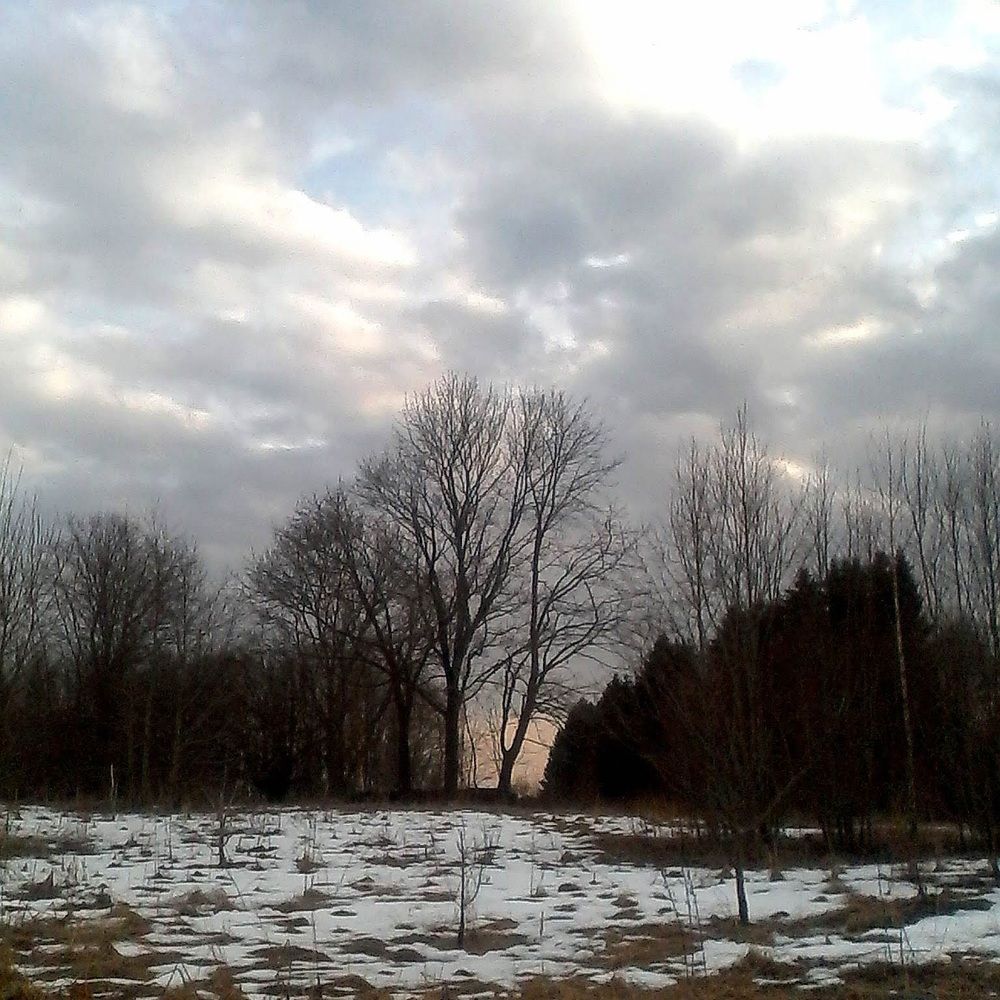 Photograph by Natalja Rogalova