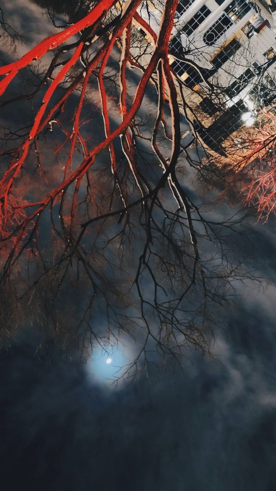 Фотография автора Мария Капатурина