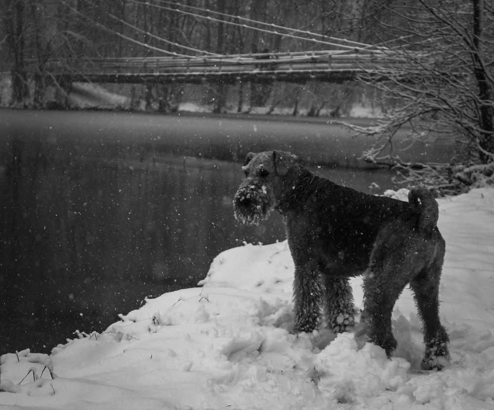 Photograph by Матвей Короткин