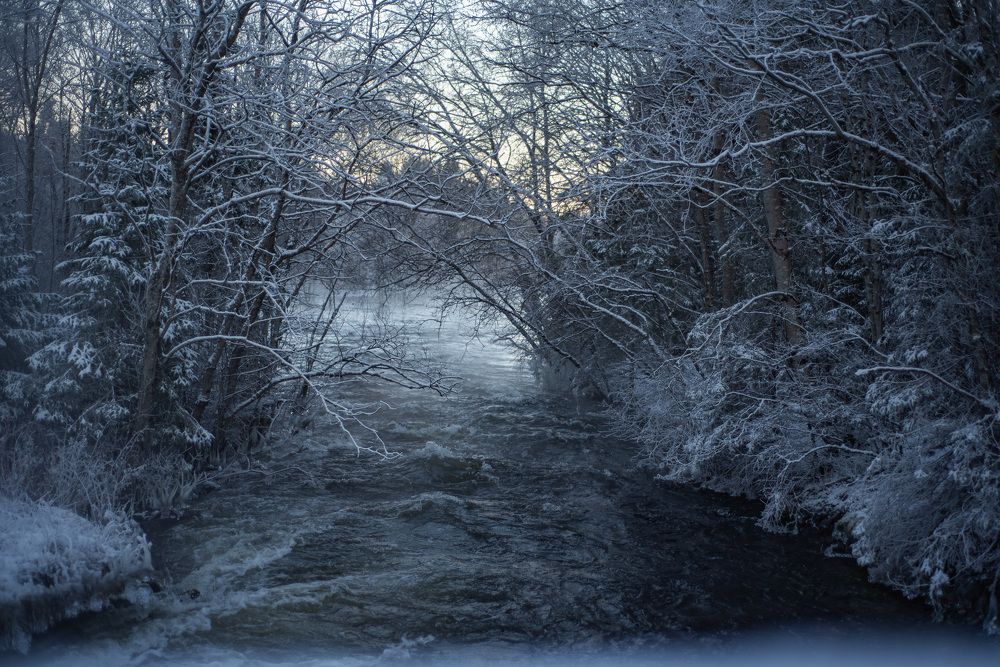 Photograph by Svetlana Davydova