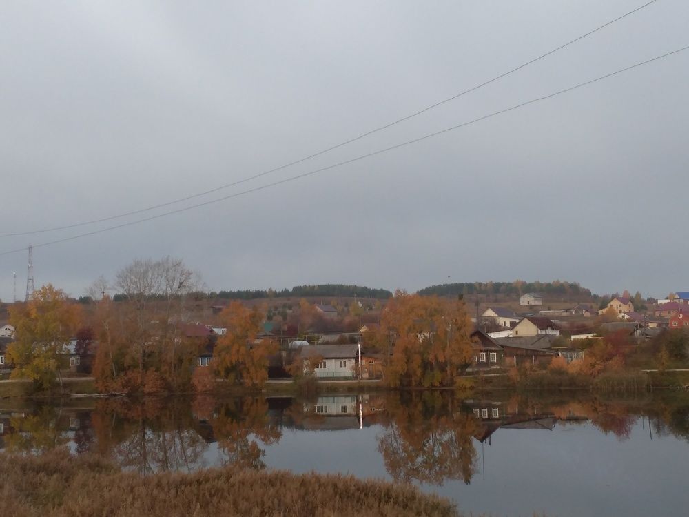 Photo #7006758